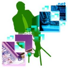Gestin y registro de dominios .net