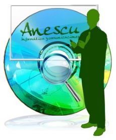 Consultora software