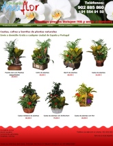 www.aquaflor.es
Floristera en Madrid con envo de flores a domicilio en el da